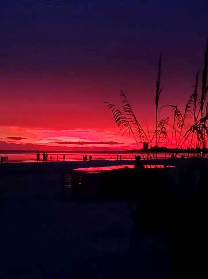 ArmyBrat68 (@armybrat682) on Twitter photo Good night! Sweetest dreams! ๐๐ฉท๐โจ Good night! Sweetest dreams! ๐๐ฉท๐โจ