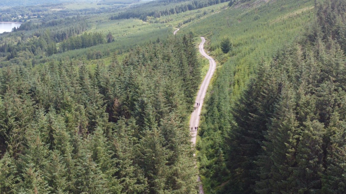 Mr Robertson tweet media