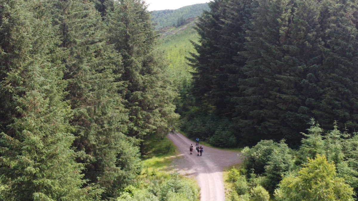 Mr Robertson tweet media