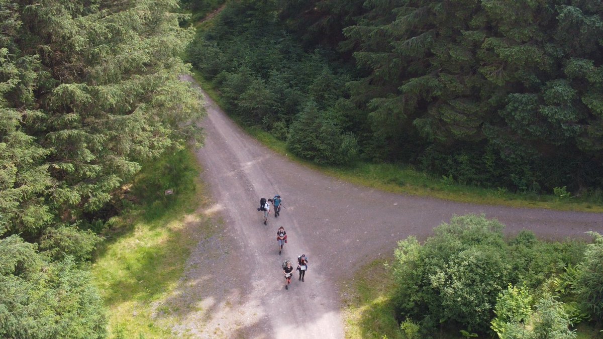 Mr Robertson tweet media