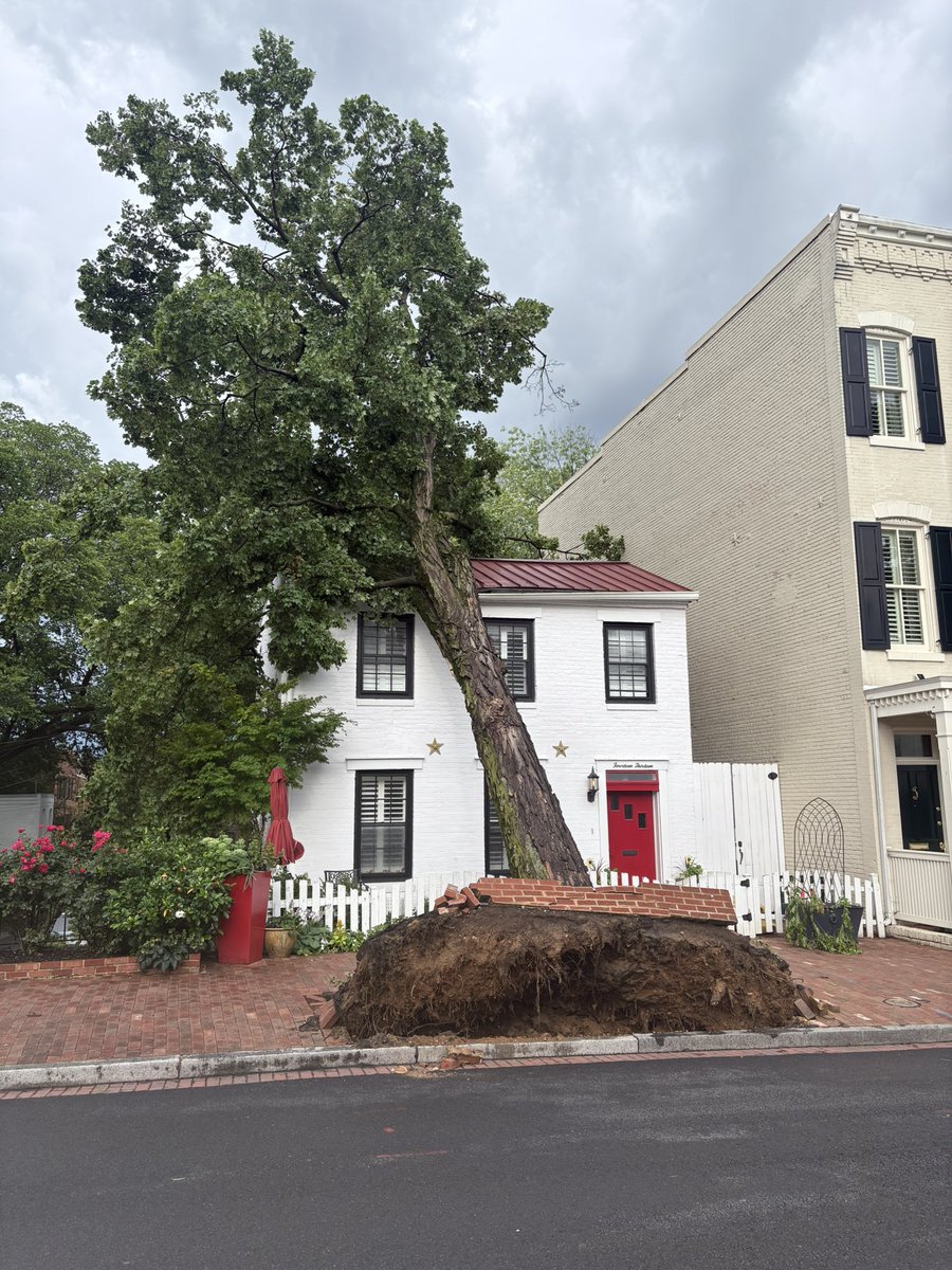 Thomas Ginn (@thomasginndc) on Twitter photo Tree took out the sidewalk - but luckily not the house - on 28th in Georgetown <a href="/capitalweather/">Capital Weather Gang</a> Tree took out the sidewalk - but luckily not the house - on 28th in Georgetown <a href="/capitalweather/">Capital Weather Gang</a>