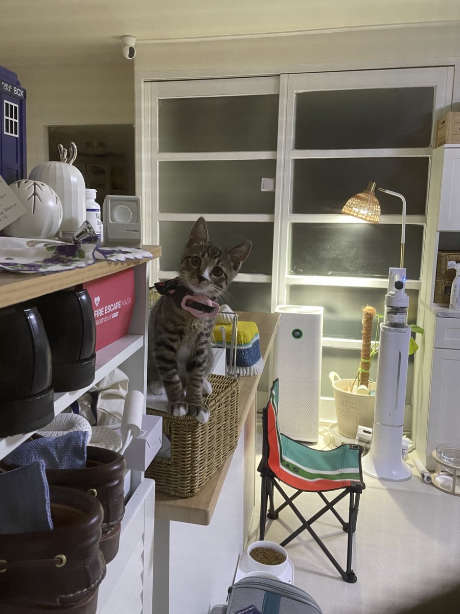 이모 어디가? #메이
이모 회사가 ㅠ