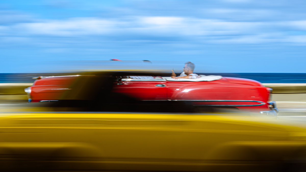 Ultra Porco Rosso 🔞 tweet media