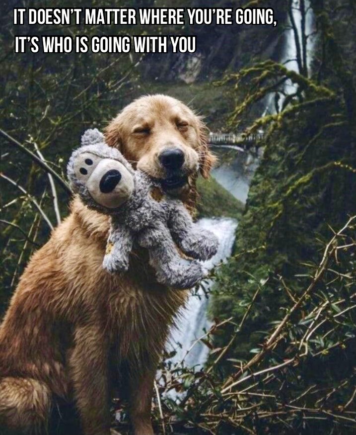 GratitudeSoup (@gratitudesoup) on Twitter photo 