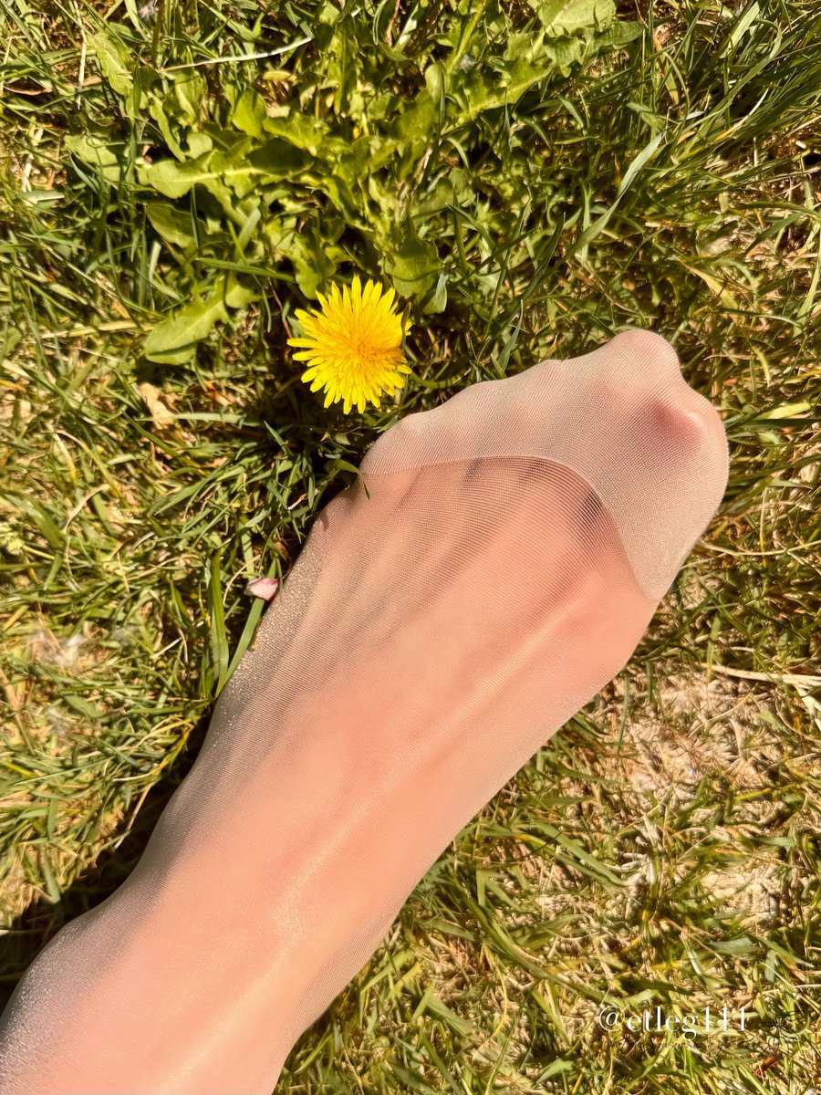 おはようございます☀
熱中症のアラートをポストしたら熱中症でダウンしていましたぁ😅
北海道だから油断していたら、30度越えの日々…❤️‍🩹
残念な1週間😑
お身体お気を付けて、金曜日なので、皆さん楽しんでくださいね❣️
今日のポストはタンポポとストッキングの脚💕 https://t.co/8zZh4hgQe0