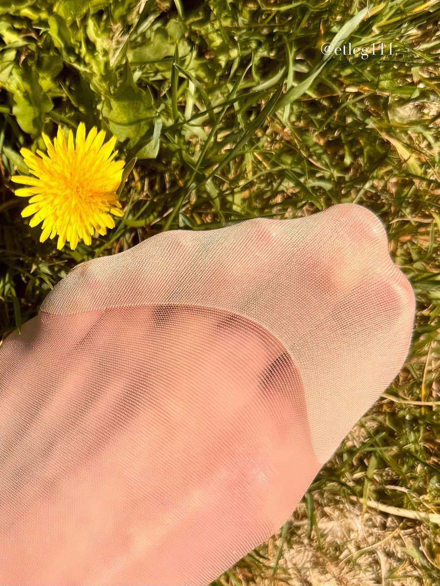 おはようございます☀
熱中症のアラートをポストしたら熱中症でダウンしていましたぁ😅
北海道だから油断していたら、30度越えの日々…❤️‍🩹
残念な1週間😑
お身体お気を付けて、金曜日なので、皆さん楽しんでくださいね❣️
今日のポストはタンポポとストッキングの脚💕 https://t.co/8zZh4hgQe0