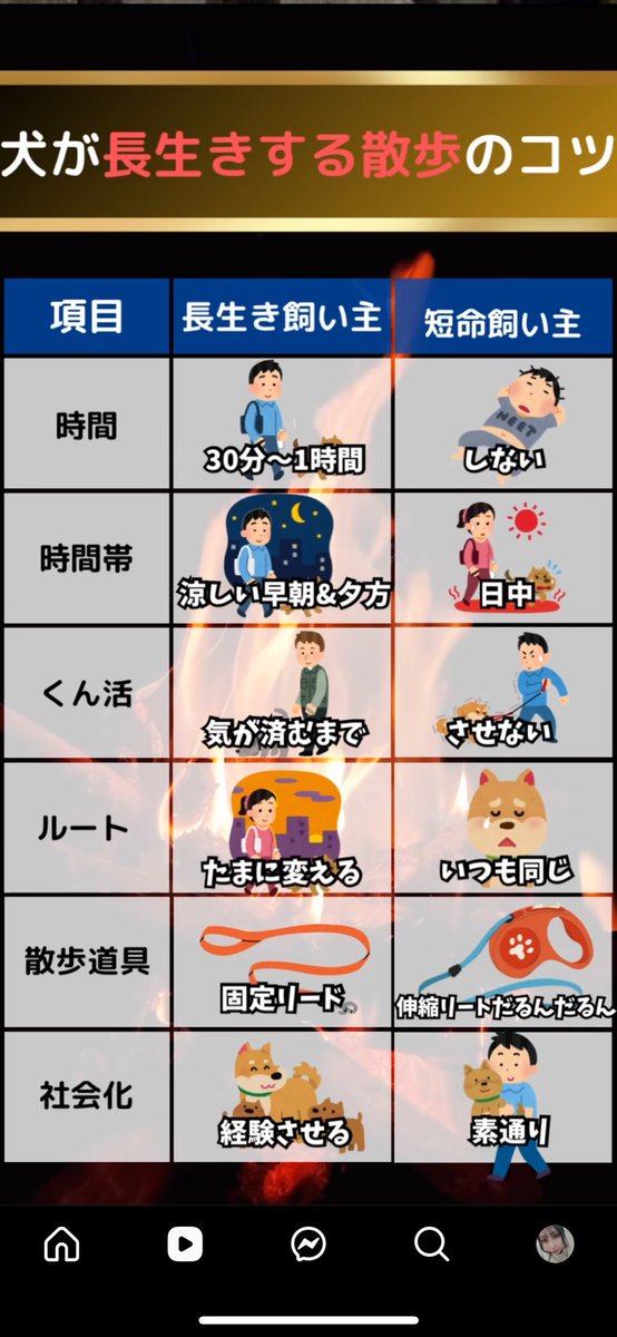 tktumrn's tweet photo. インスタで見つけた
くん活も散歩も後悔したくなくて行きたいだけ行ってたしルートも毎回クッキーが行きたかった方にしてたしご近所さんも優しくて犬交流してくれたからうちのお犬はご長寿だったんだな...

#秘密結社老犬倶楽部天国支部 
#コーギーのいる暮らし https://t.co/7zDFwYWmWW