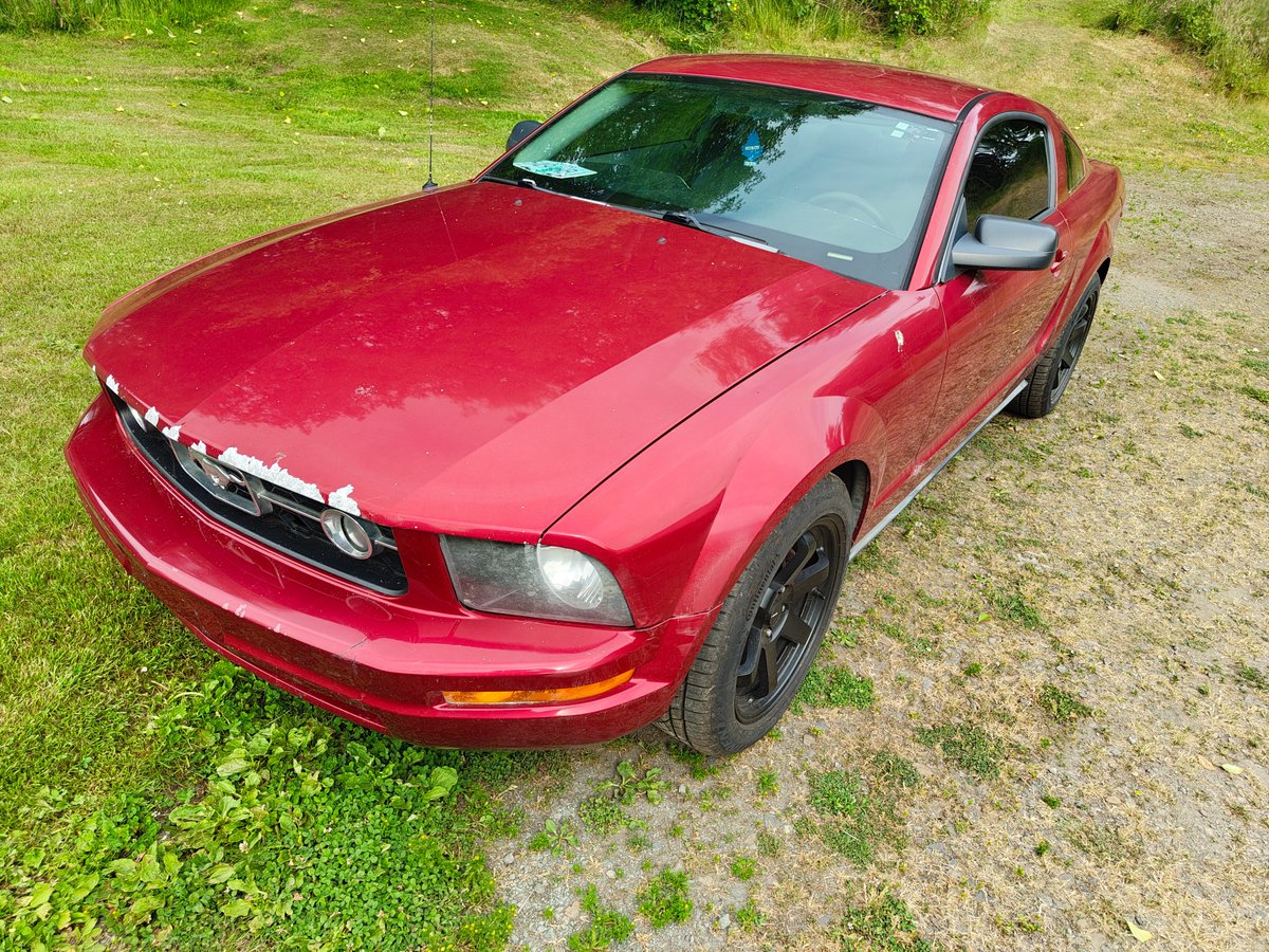 coboxite's tweet photo. @ivycomb My poor V6 Mustang needs some serious TLC lamo https://t.co/FdKy8mbIvU