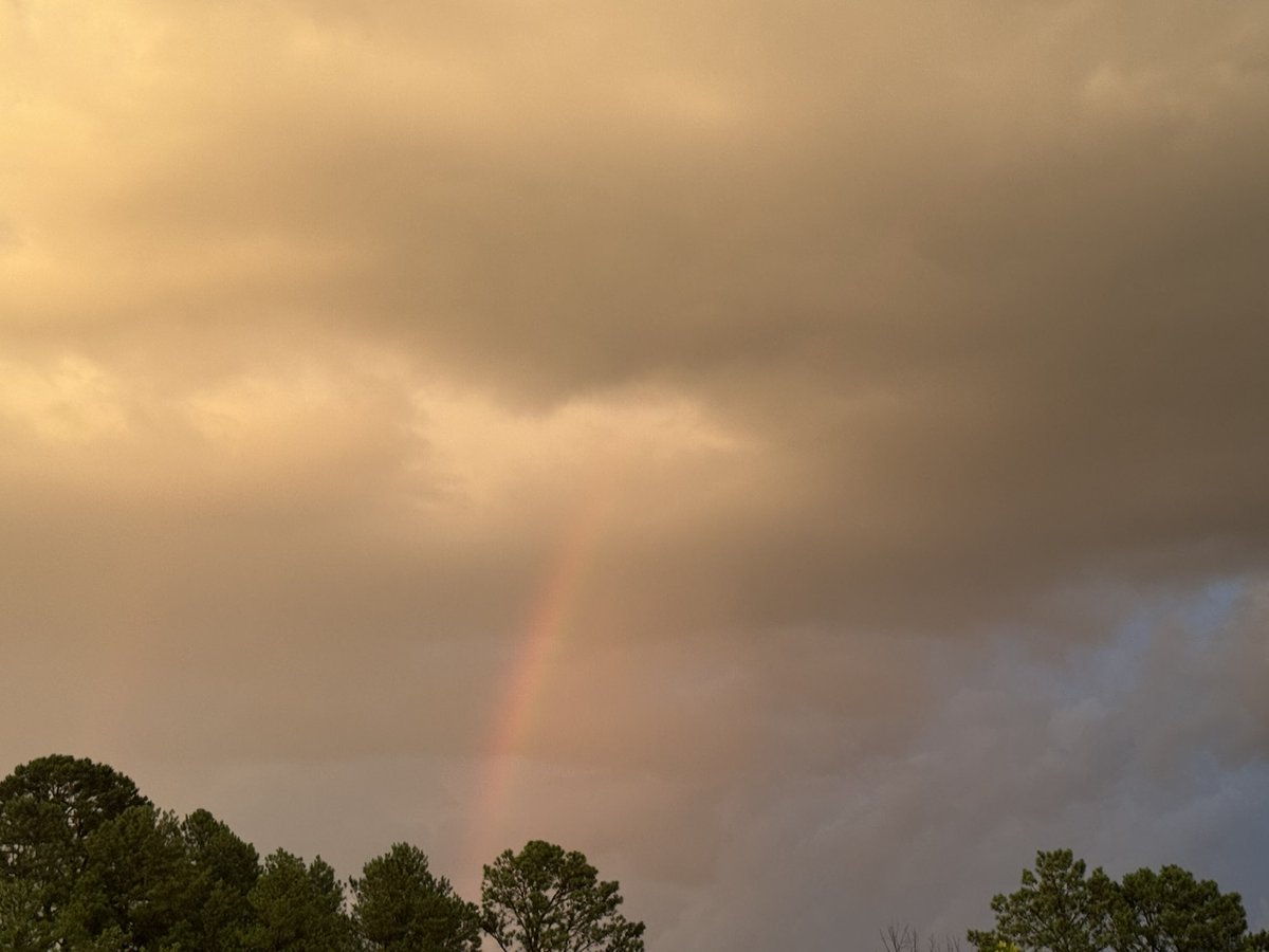 🌈