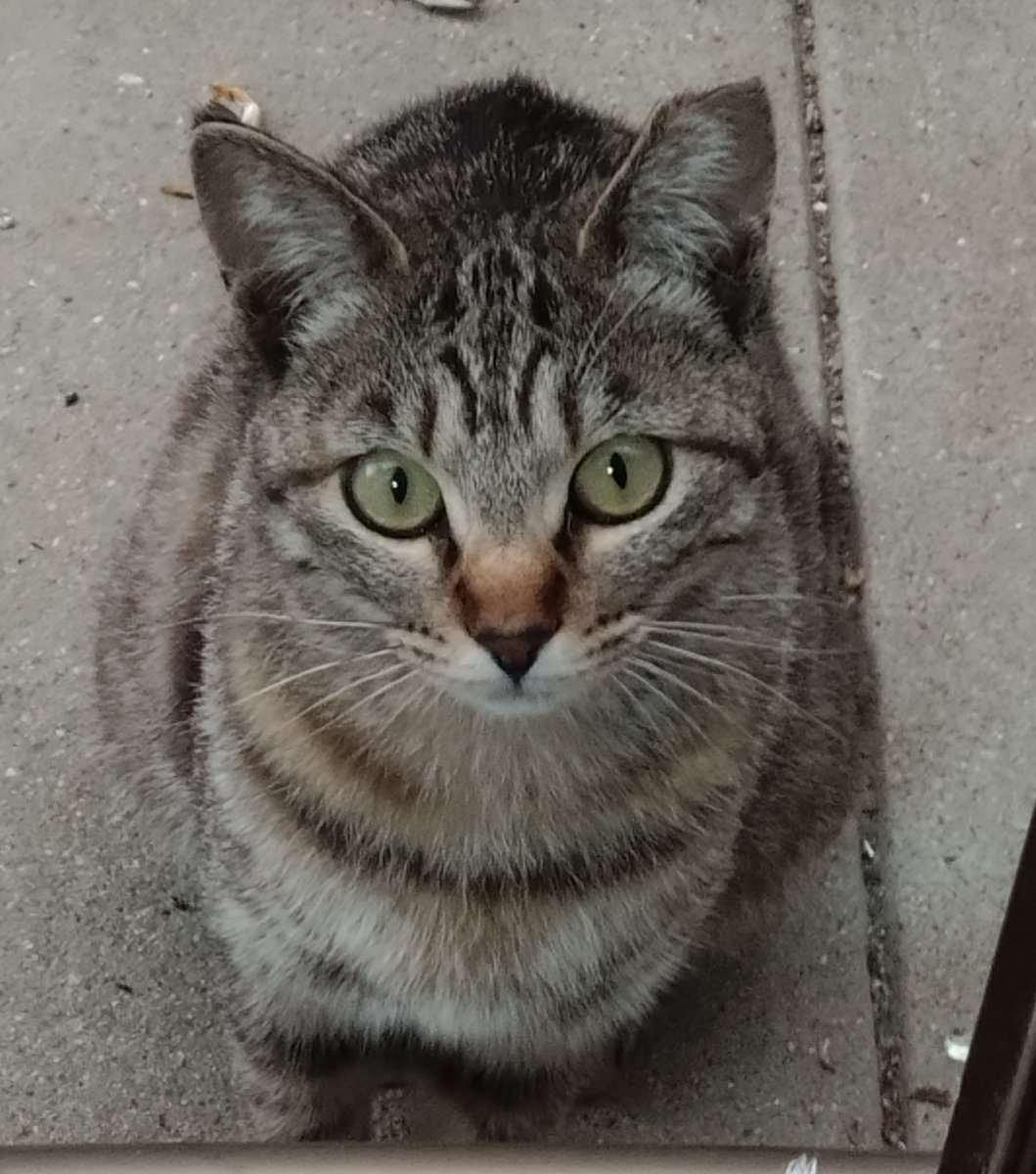 緊急　修理品募集しております。
iPS液晶化 以外で、お願いします