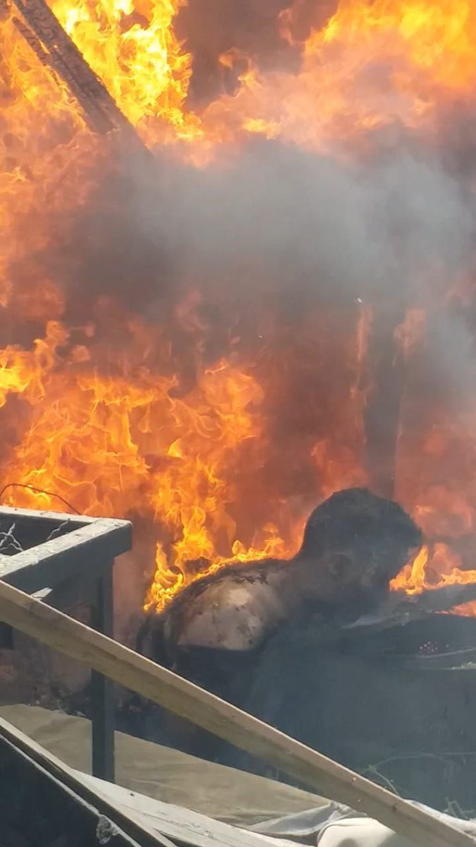 همام شعلان || H . Shaalan tweet media