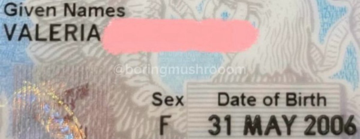 valeria 🇵🇸🍉 tweet media