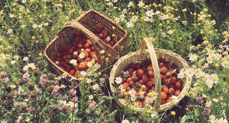 Terkadang, 'sesuatu' yang kita tidak sukai, tapi sebenarnya baik untuk
diri kita.

Misalnya: tidak suka makan buah, tetapi ia bagus untuk kesehatan atau pun, tidak suka membaca, tetapi ia bagus untuk pikiran kita.

#CelahAwan