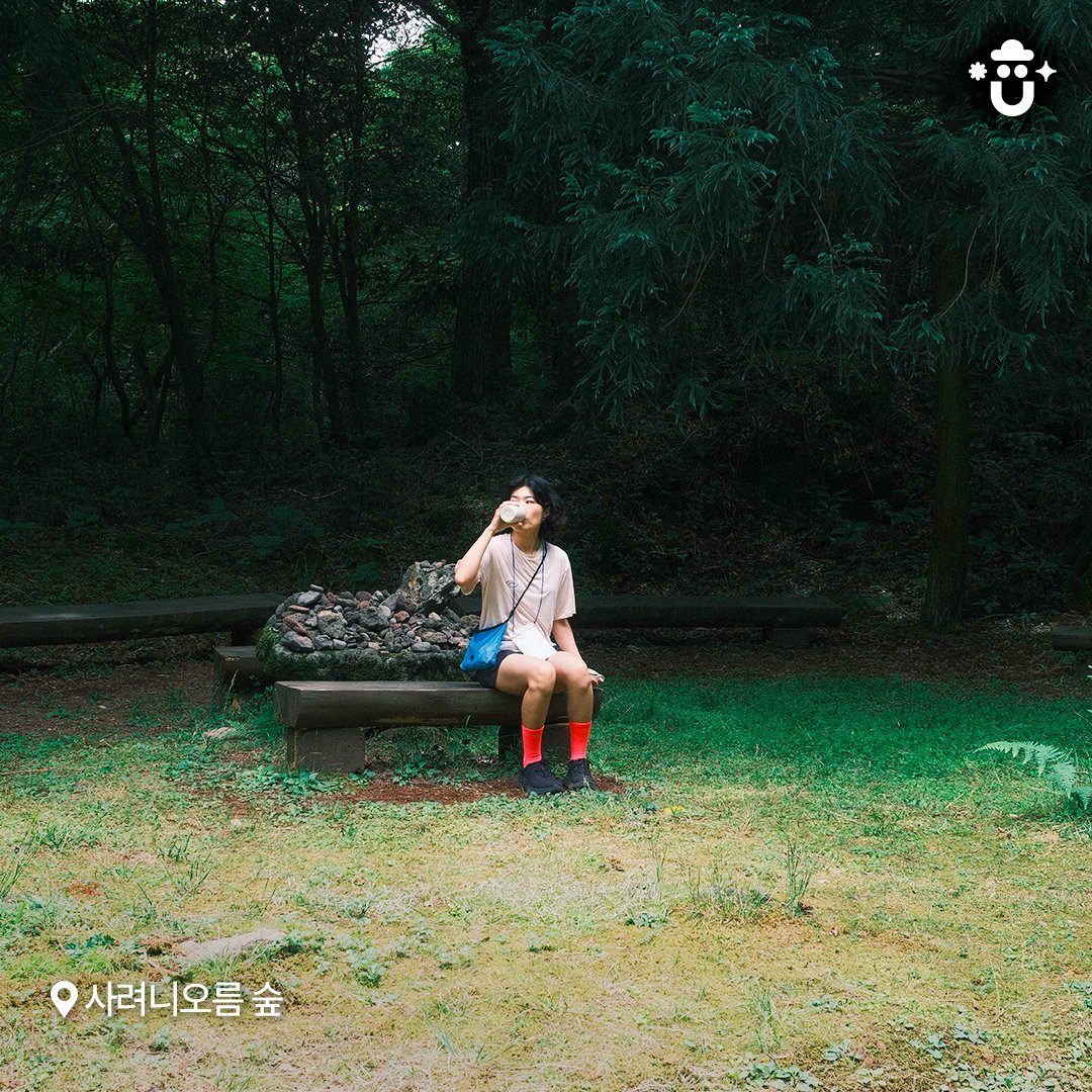 한해에 단 6개월만 개방되는 제주 비밀의숲
'한남사려니오름숲'💚
풀내음이 진하고 시원한 숲길에서
편안한 산보를 즐겨보세요.😉

📍한남사려니오름숲
제주 서귀포시 서성로651번길 235

자세한 내용은 빛나는제주 네이버 블로그를 확인하세요!

📸 자료제공 : 제주도청 블로그기자단 '김대연'님