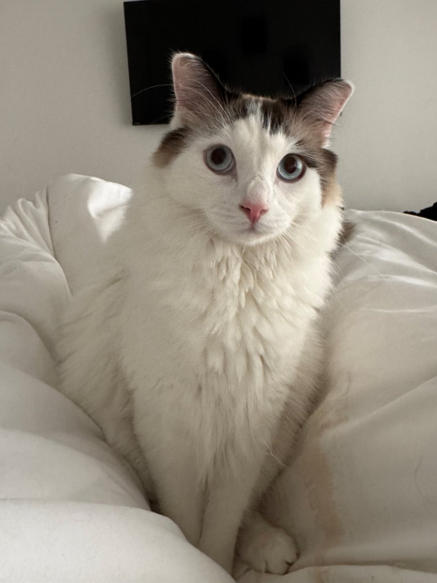 beewee… what did you do