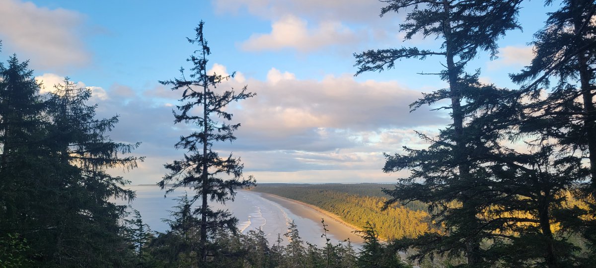 CFNGBI's tweet image. #JobAlert Are you looking for an exciting #JobOpportunity? CFN is hiring a Development Grant Writer & Coordinator to join our team! Deadline is July 2. Full details here: coastalfirstnations.ca/wp-content/upl…