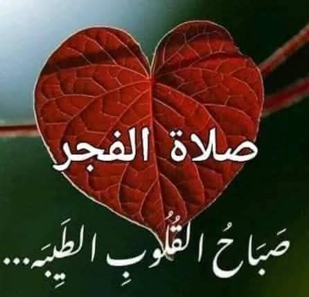 العُمدة tweet media