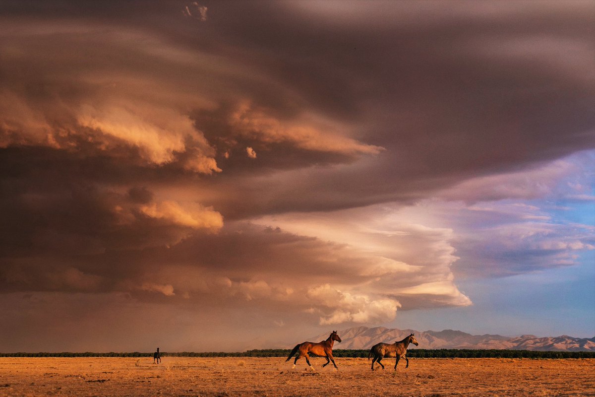 I’ve always dreamed of capturing scenes like this. Dreams do come true. #weather  #horses