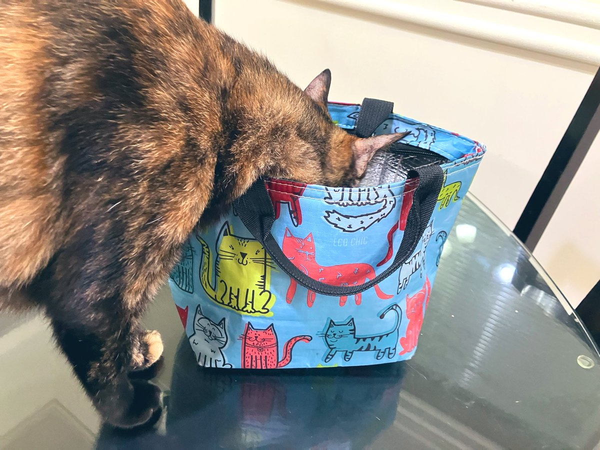 🦴ホネッコ🦴 on X: 🦴ホネッコ🦴 on X: