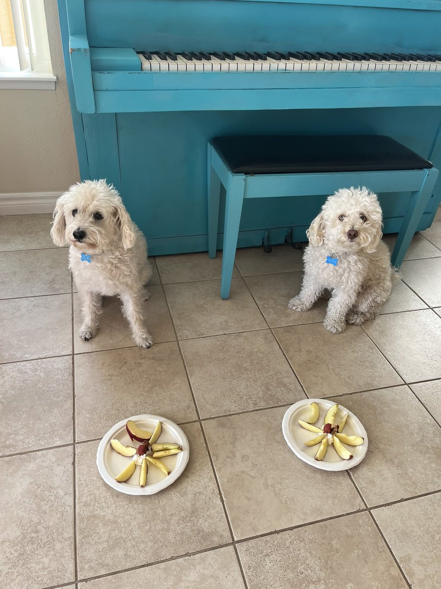 Happy Birthday boys!
Ollie, 9
Gnocchi, 3