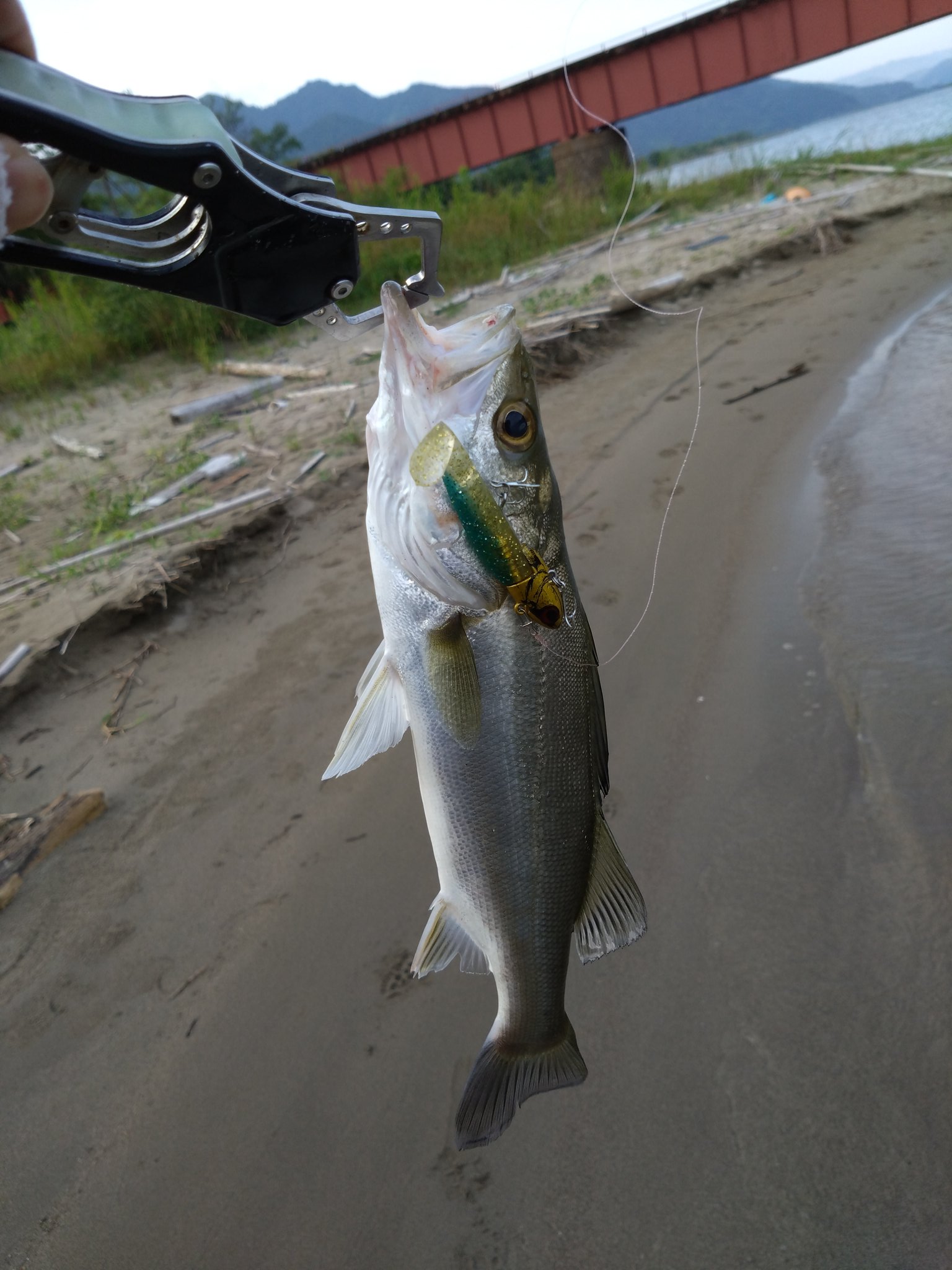 太公望釣りch (@taikouboutsuri) / X