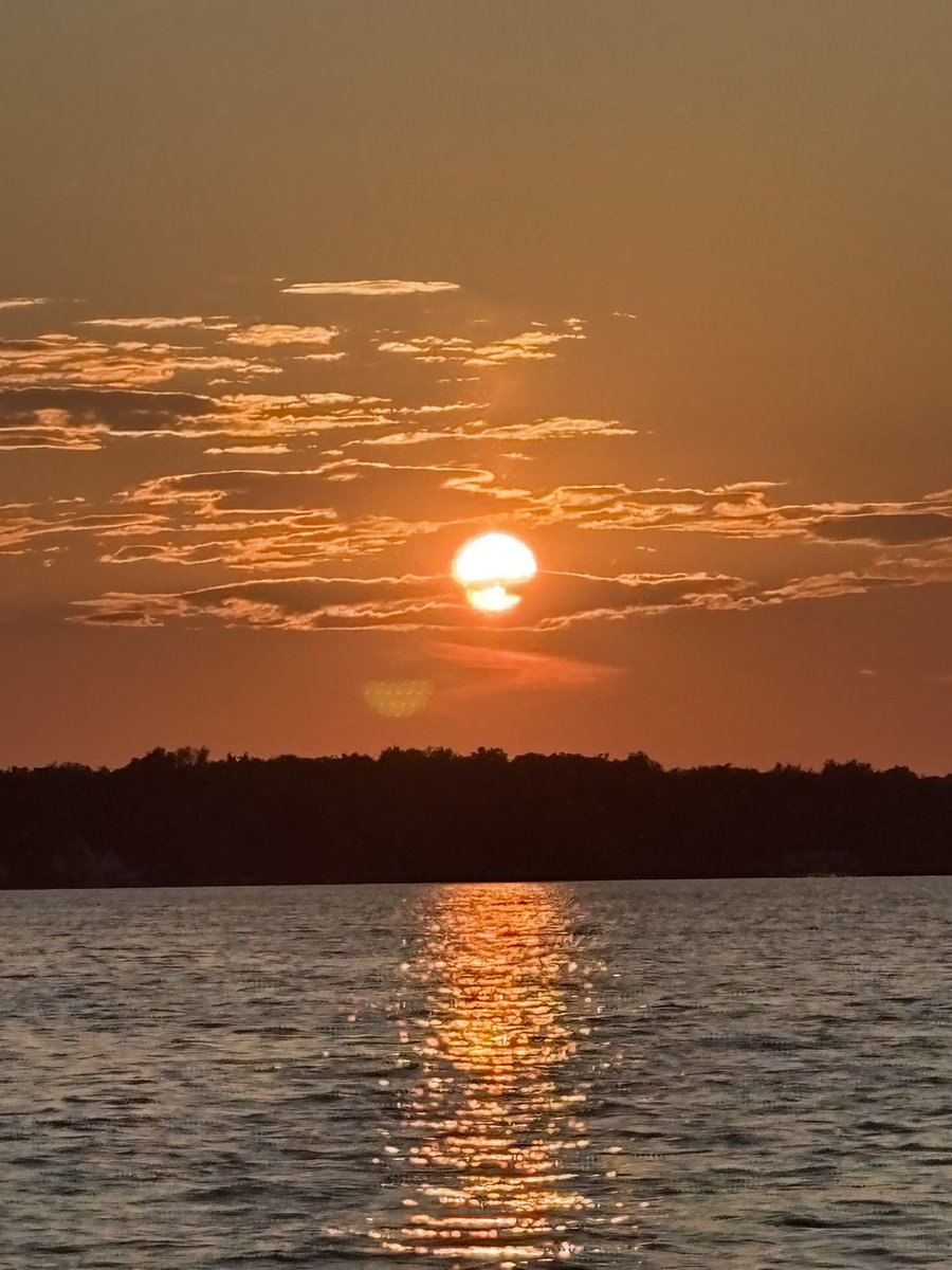 Ron Fogarty tweet media