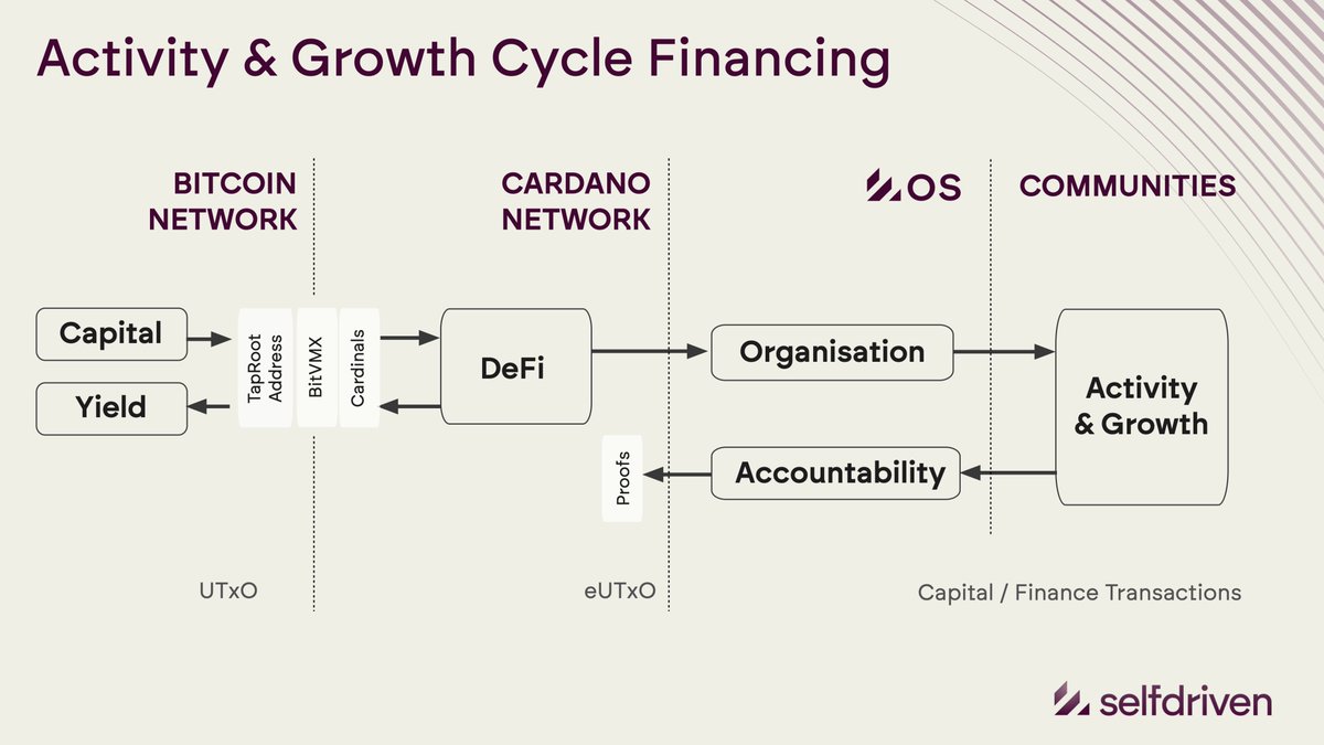 selfdrivenF's tweet image. Conceptualising how Bitcoin’s Taproot functionality, combined with BitVMX or Cardinals, can enable permissionless capital stored as Bitcoin to be leveraged into DeFi—empowering communities to self-actuate via the selfdrivenOS.