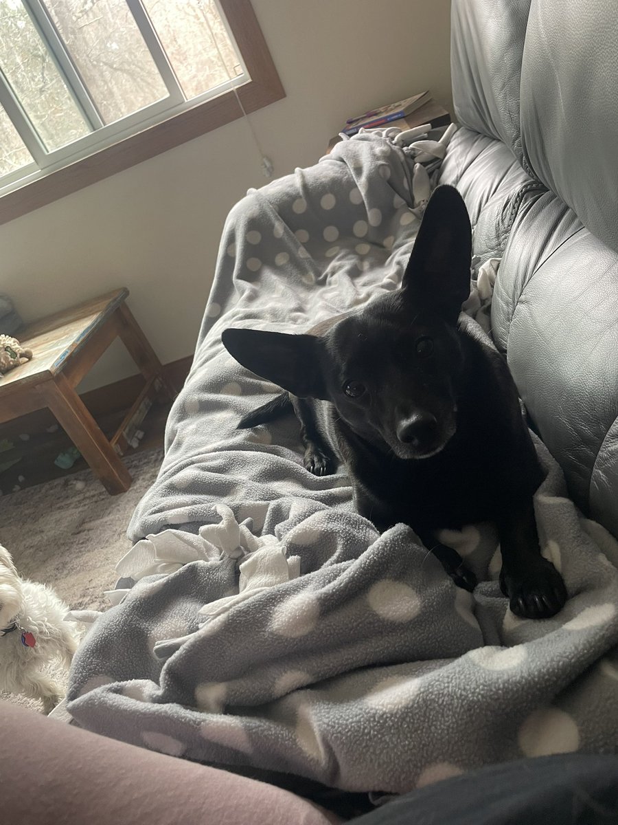 Johanna Sarnstrom tweet media