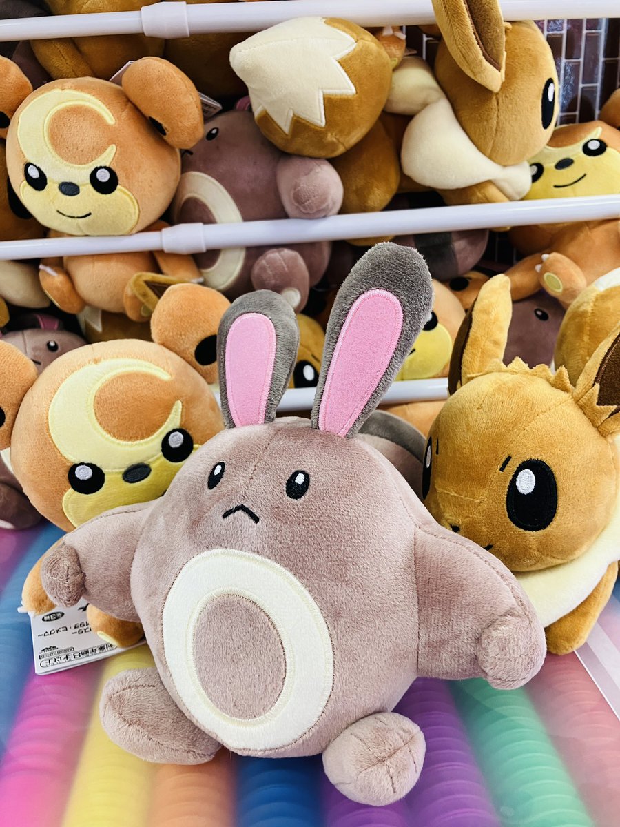 ポケモンぬいぐるみ〜イーブイ・オタチ・ヒメグマ - Search / X