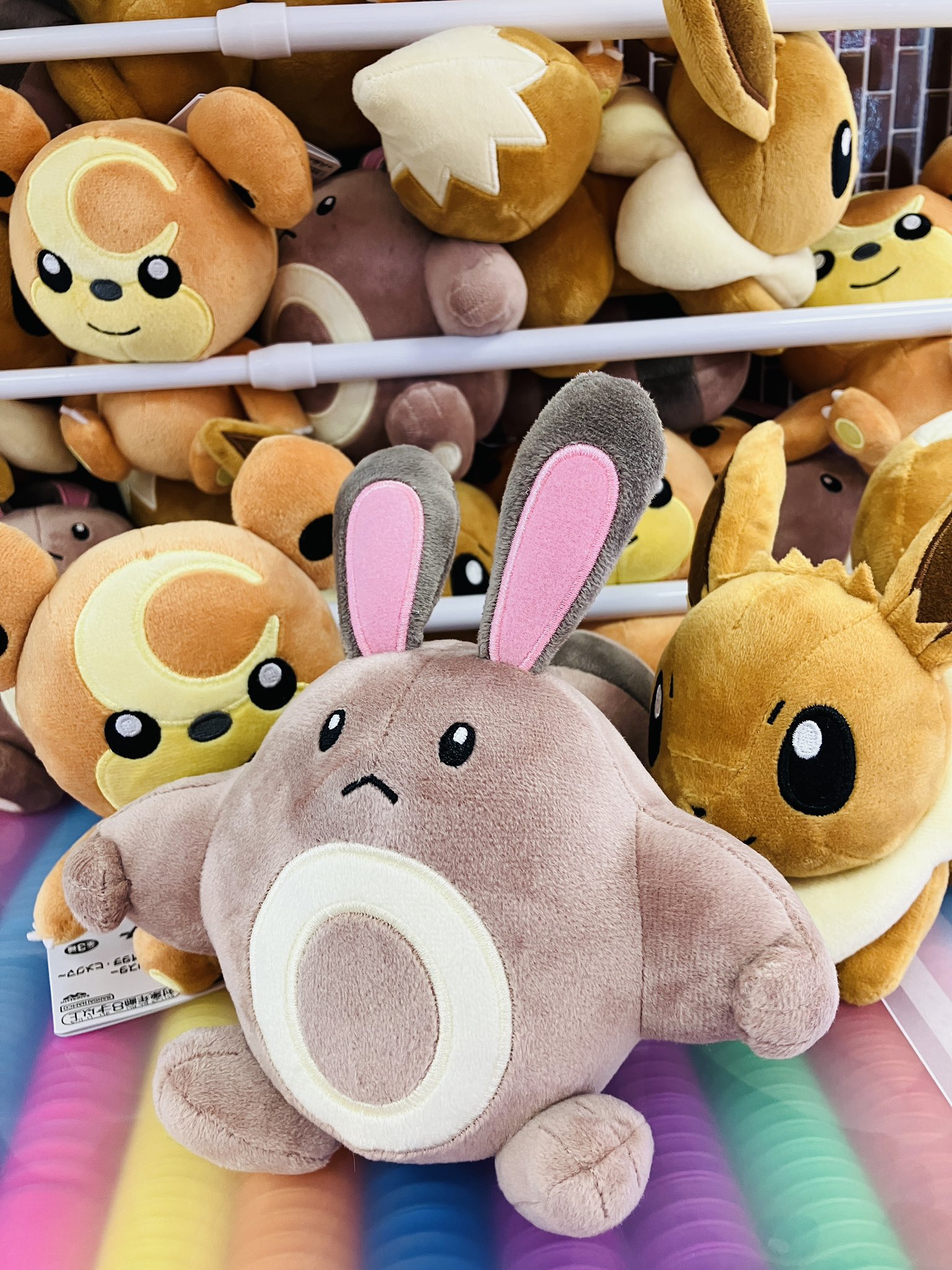 ポケットモンスター　ぬいぐるみ　イーブイ　オタチ　ヒメグマまとめ コンテンツ対象店舗一覧｜GENDAGiGO