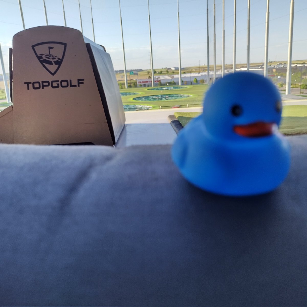 withWrathSKF's tweet photo. Just hitting balls @FergusFowl @Topgolf https://t.co/4Z0VEFioGq