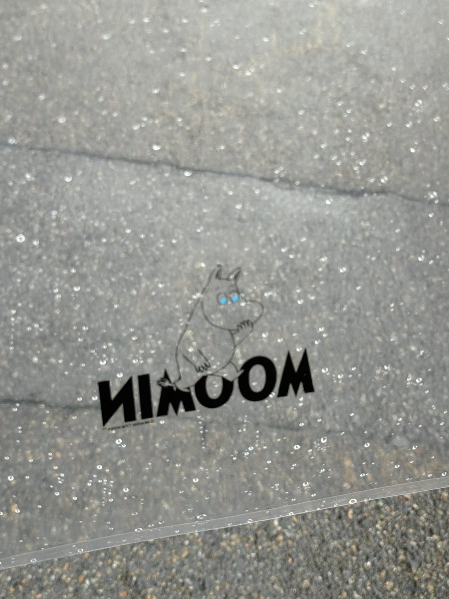 일이 밤늦게 끝나고 간만에 미라클 모닝했더니 비옴 ……………..나도 햇살좀 받자