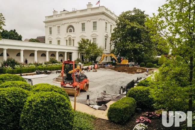 The rose garden is being ripped apart.