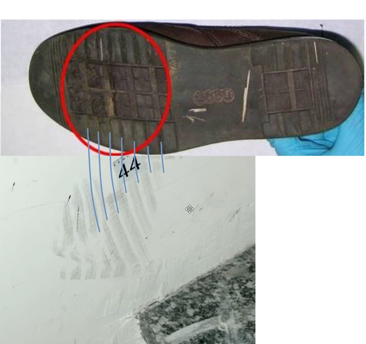Chance ๐คบ Giardiniere ๐ ๐ (@chancegardiner) on Twitter photo <a href="/Cremisi11/">EMarie 2</a> Quella sulla parete accanto al corpo di Chiara Poggi non รจ l'impronta della suola di quella scarpa, ma lo sfregamento del bordo della suola. Nell'ipotesi che sia dell'assassino, trascinava Chiara tra le gambe, ha perso l'equilibrio, e ha strusciato il bordo della suola sul muro. <a href="/Cremisi11/">EMarie 2</a> Quella sulla parete accanto al corpo di Chiara Poggi non รจ l'impronta della suola di quella scarpa, ma lo sfregamento del bordo della suola. Nell'ipotesi che sia dell'assassino, trascinava Chiara tra le gambe, ha perso l'equilibrio, e ha strusciato il bordo della suola sul muro.