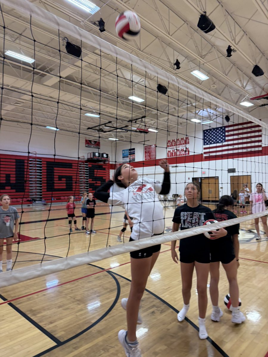 LadyRossville's tweet photo. Great turnout for our Little Dawgs camp. So great to see these young girls put in that hard work!🏐❤️ go lady dawgs!! https://t.co/wYy223R9PG