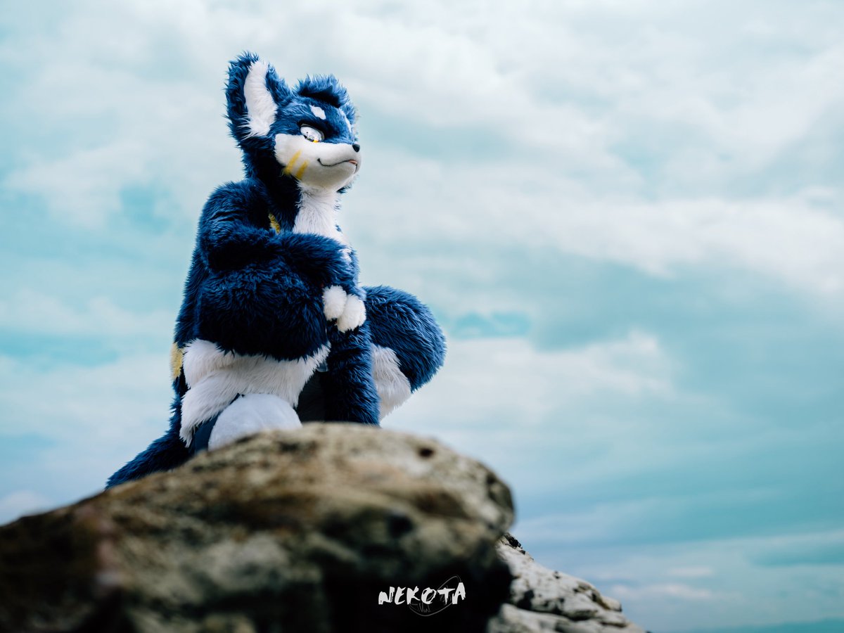 住进城市的狼，
有时候还是会去海边，
蹲在礁石上，
听海看海，
浪声仿若拂过原野的清风，
破碎的银光更似明灭的星汉…
📷：<a href="/hinekota/">ネコタ@NEKOTA➡Kemocon</a> 
#FursuitFriday #星尘