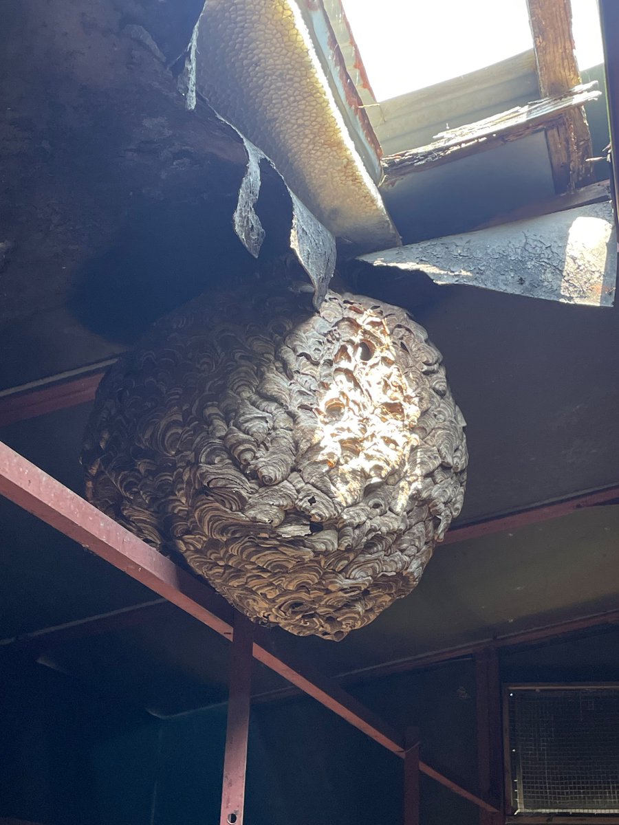 TAWA FARM tweet media