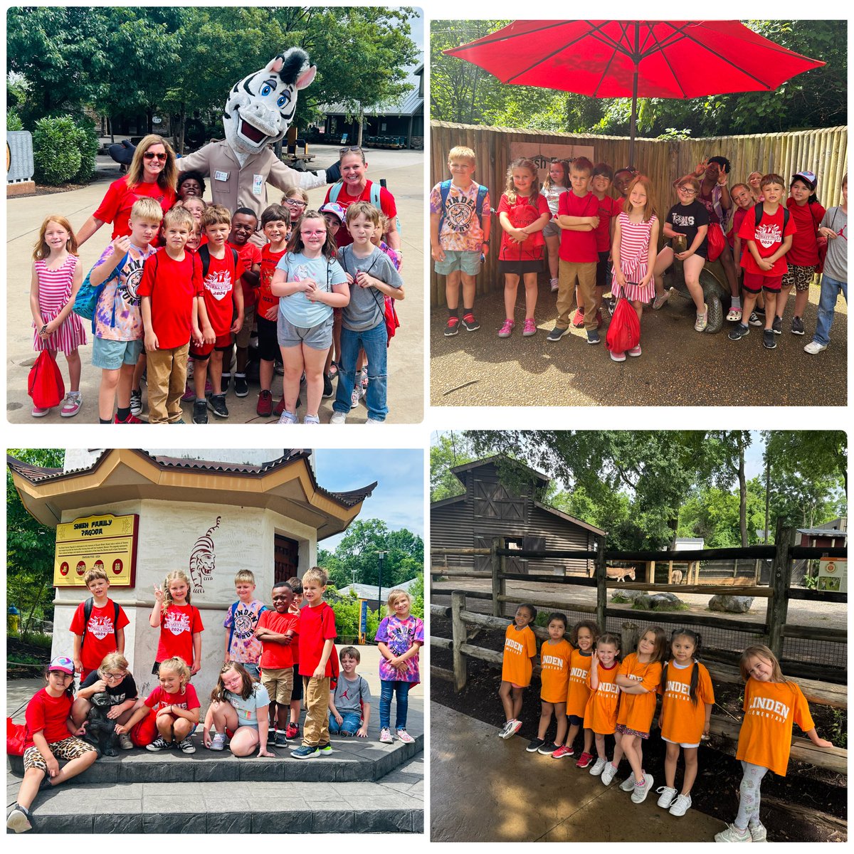 Linden Elementary (@lindenlion) on Twitter photo The <a href="/ORSchools/">Oak Ridge Schools</a> Summer Learning Camp had a great day <a href="/zooknoxville/">Zoo Knoxville</a>! Our Linden Lions enjoyed every minute!🦁❤️🦓 The <a href="/ORSchools/">Oak Ridge Schools</a> Summer Learning Camp had a great day <a href="/zooknoxville/">Zoo Knoxville</a>! Our Linden Lions enjoyed every minute!🦁❤️🦓