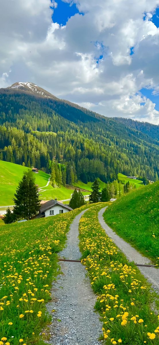 itx_laibakhan's tweet image. Beautiful good morning