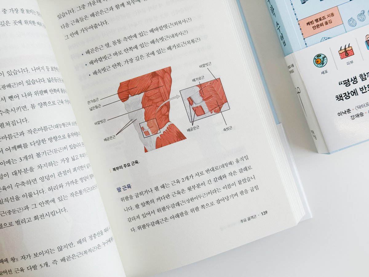HdjsBooks's tweet image. #신간안내 『드디어 만나는 해부학 수업』
근육과 장기의 작동 원리부터
부위별 질병과 장애까지
알아두면 뼈가 되고 살이 되는
내 몸 필수 지식!💪
해부학 초심자를 위한
세상 가장 친절한 입문서😊
✨서울대 의과대학 해부학교실 주임교수 강재승 강력추천!
👉자세히 보러 가기:…