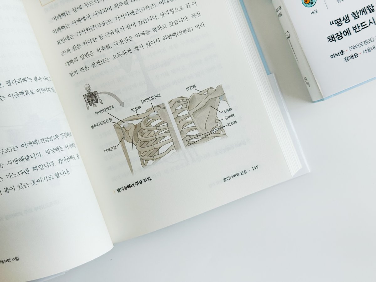 HdjsBooks's tweet image. #신간안내 『드디어 만나는 해부학 수업』
근육과 장기의 작동 원리부터
부위별 질병과 장애까지
알아두면 뼈가 되고 살이 되는
내 몸 필수 지식!💪
해부학 초심자를 위한
세상 가장 친절한 입문서😊
✨서울대 의과대학 해부학교실 주임교수 강재승 강력추천!
👉자세히 보러 가기:…
