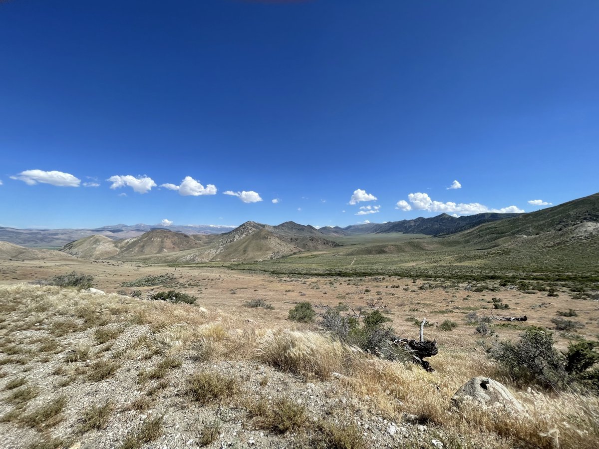 TomNakamura's tweet photo. It was beautiful to drive south the #US395 along the #SierreNevada mountain range. #ε½ι395 #ηΎγγζ―観 #γ·γ§γ©γγγε±±θ https://t.co/Q3iADS2k6r