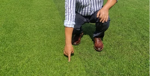kojiji91's tweet photo. lol
#openseatouchgrass https://t.co/2Sl8N7cosC