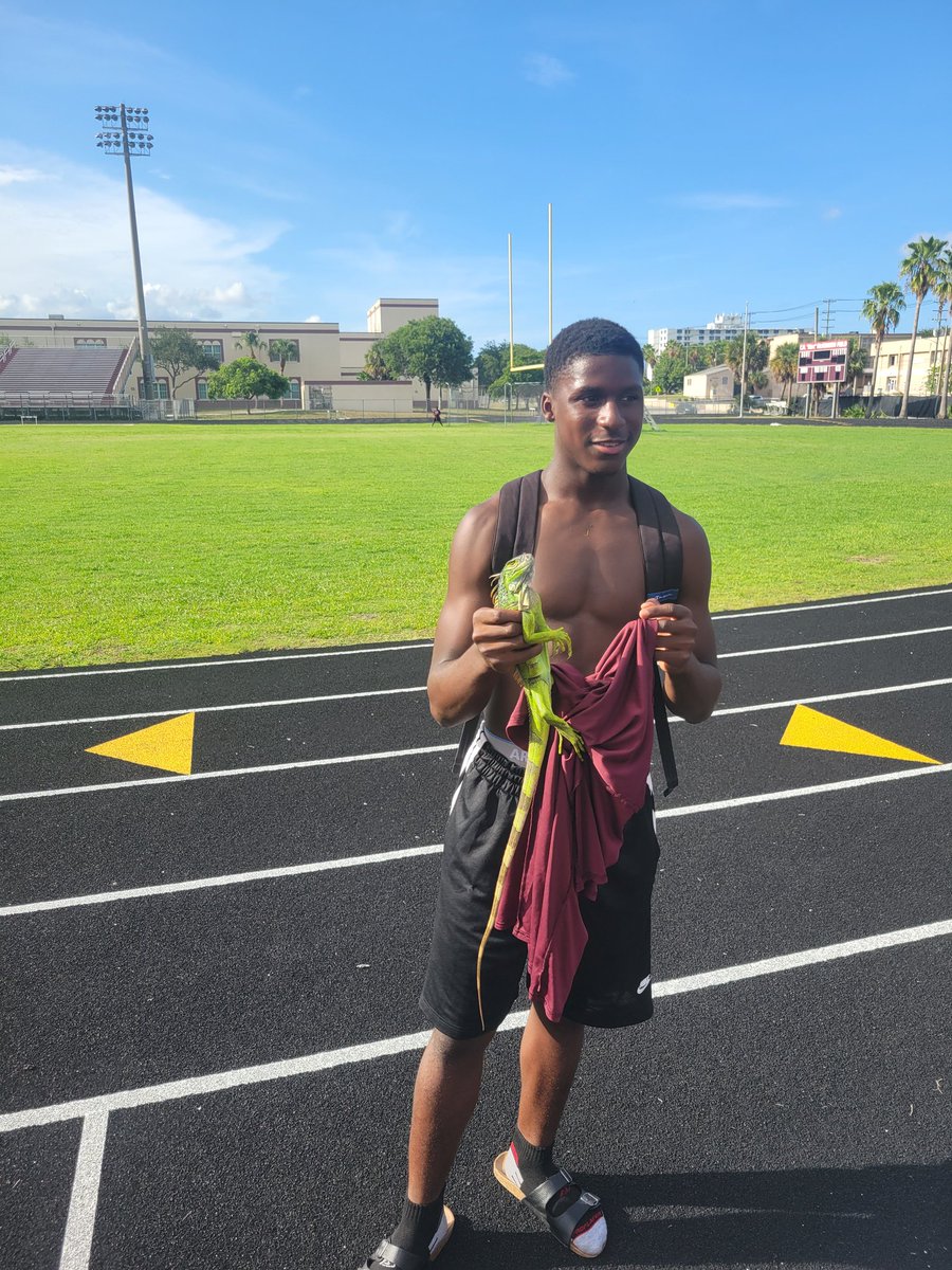 Don Ferraro (@donferraro317) on Twitter photo In the Glades, they catch cuddly rabbits. In the Lake, we make our db's catch iguana, with big teeth! <a href="/NikelsonAzema17/">Nikelson Azema</a> <a href="/JEspinoza6_/">Jordan Espinoza</a> <a href="/coachrow56/">coach_Rowe</a> <a href="/EthanHook21/">Ethan Hook</a> <a href="/PennAlexanderr/">Alexander Penn</a> <a href="/AugusteSauveur/">Sauveur auguste</a> <a href="/erikleejr10/">Erik Lee Jr</a> <a href="/CoachLee_LW/">Erik Lee</a> In the Glades, they catch cuddly rabbits. In the Lake, we make our db's catch iguana, with big teeth! <a href="/NikelsonAzema17/">Nikelson Azema</a> <a href="/JEspinoza6_/">Jordan Espinoza</a> <a href="/coachrow56/">coach_Rowe</a> <a href="/EthanHook21/">Ethan Hook</a> <a href="/PennAlexanderr/">Alexander Penn</a> <a href="/AugusteSauveur/">Sauveur auguste</a> <a href="/erikleejr10/">Erik Lee Jr</a> <a href="/CoachLee_LW/">Erik Lee</a>