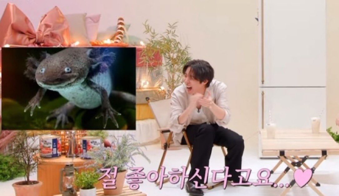 __jinrj's tweet photo. まってこんな理想の顔（推しの）に近づきたくないことってあるんだwwwwwwwwwwww https://t.co/9EzvEnIauF