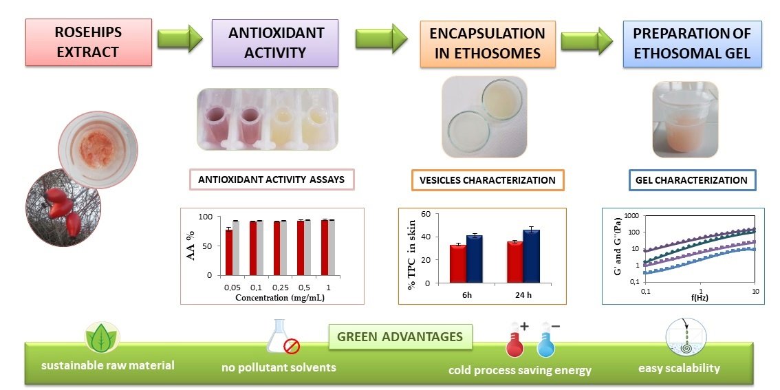 Gels MDPI (@gels_mdpi) on Twitter photo #Highly_cited
📢 "Design and Characterization of an Ethosomal Gel Encapsulating Rosehip Extract" by Valentina Sallustio et al.
🔗mdpi.com/2310-2861/9/5/…
#polyphenols #antioxidant_activity #ethosomal_gel #sodium_hyaluronate #Highly_cited
📢 "Design and Characterization of an Ethosomal Gel Encapsulating Rosehip Extract" by Valentina Sallustio et al.
🔗mdpi.com/2310-2861/9/5/…
#polyphenols #antioxidant_activity #ethosomal_gel #sodium_hyaluronate