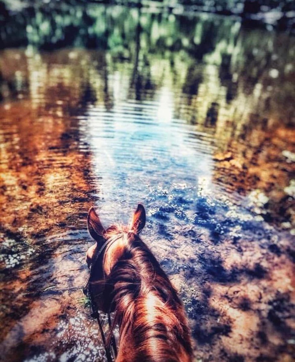 Remember that even when you do your best you may come up a little short of a goal, but that is not an excuse to give up! Keep doing your best, because it’s the only variable you can control…

LB