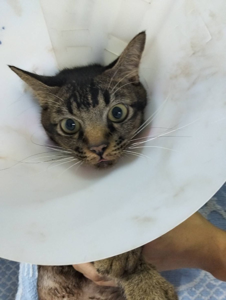 บุญแสน ~ เดือนนี้หมดไปอีก 20,000 ++++++ 😂😂😂😂😂😂😂😂😂