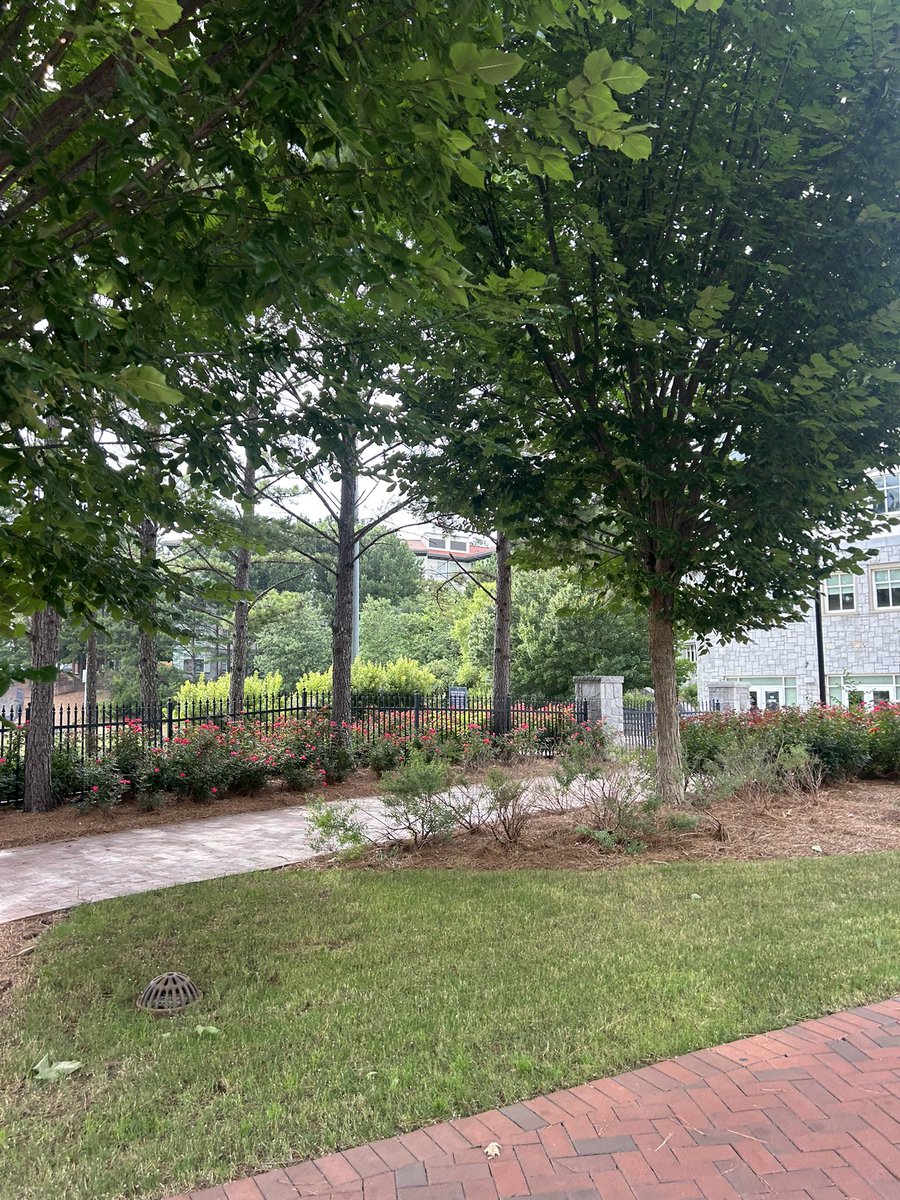 Maddy Lowdermilk (@maddyl2026) on Twitter photo Thank you so much <a href="/EmorySoftball/">Emory Softball</a> 🦅 for hosting a wonderful camp on your BEAUTIFUL campus. Had so much fun getting to showcasing my talent!! 🔥🥎🙌 Can’t wait to continue playing this weekend in Dalton for🔝2️⃣5️⃣. <a href="/Coach_India_C/">Coach India (Chiles) / SlapperNation</a> <a href="/Coach_KatieG/">Katie Griffith</a> <a href="/ECB_Jackson/">EC Bullets Jackson</a> <a href="/RBPD5015/">Matt Bodenheimer</a> <a href="/CoachLowe888/">Coach Lowe</a> Thank you so much <a href="/EmorySoftball/">Emory Softball</a> 🦅 for hosting a wonderful camp on your BEAUTIFUL campus. Had so much fun getting to showcasing my talent!! 🔥🥎🙌 Can’t wait to continue playing this weekend in Dalton for🔝2️⃣5️⃣. <a href="/Coach_India_C/">Coach India (Chiles) / SlapperNation</a> <a href="/Coach_KatieG/">Katie Griffith</a> <a href="/ECB_Jackson/">EC Bullets Jackson</a> <a href="/RBPD5015/">Matt Bodenheimer</a> <a href="/CoachLowe888/">Coach Lowe</a>