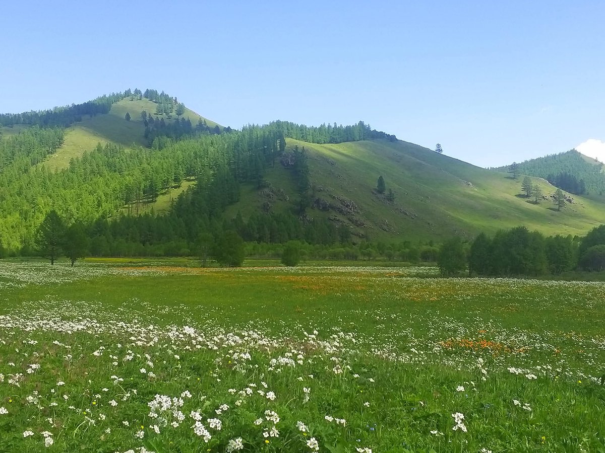 Баасан гарагийн таатай гоёхон өглөөний мэнд! АМЖИЛТ